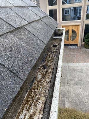 Roofing services, roof leak repair, Moss removal, gutter cleaning, pressure wash, house wash