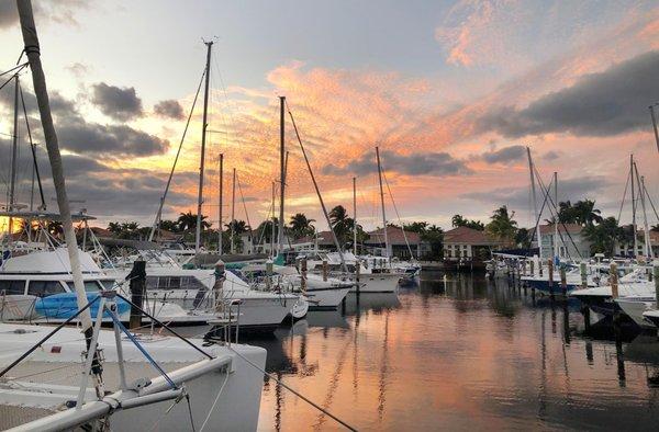 Loggerhead Marina - Hollywood