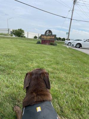 Briggs at Argonne