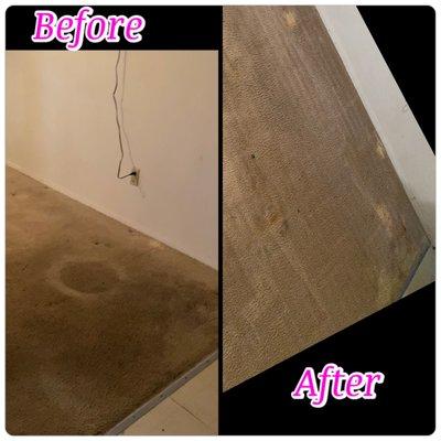 Clean Touch Carpet Services