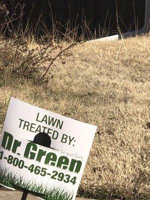 Dr green told me they didn't notice any weeds for 5 consecutive months. Horrible service!!!