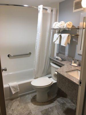 Beautiful and clean bathroom