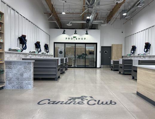 Canine Club provides a clean and sanitary environment for our community of pets and their owners!