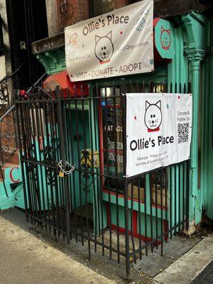 Ollie's Place