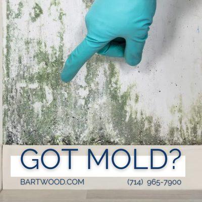 Bartwood can protect you and your family from mold  contamination that can cause mold illness. Call Bartwood today!