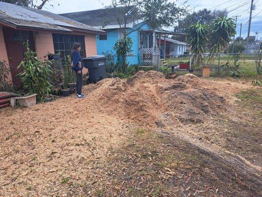 Largest tree in neighborhood reduced to dust