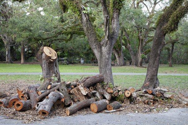 Most of our tree removal business in Tuscaloosa comes to us through referrals. Since it is often a one-time service, J & L Tr...