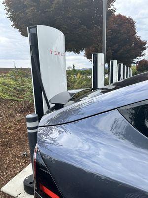 Tesla Charger Station