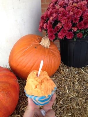 Pumkin gelato