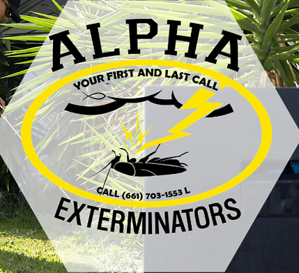 Alpha Exterminators continually educates ourselves on new chemicals, new equipment, and new treatment methods