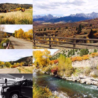 The tail end of fall colors 2016!  TellurideLimo.com