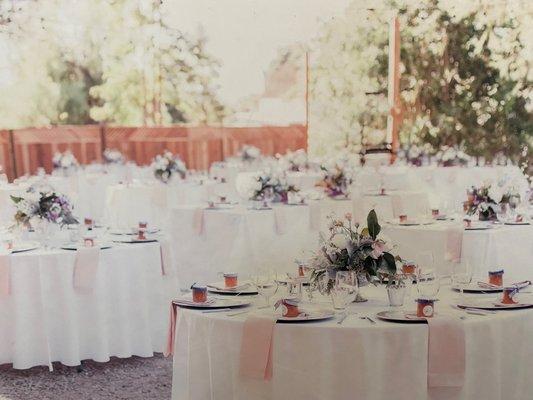 Reception in our Upper Garden