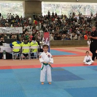 2015 The International Taekwondo Festival