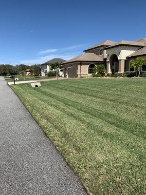 #stripes #lawncare #green #malabar Florida #westmelbourne #palmbay