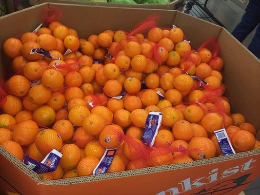 Navel Oranges $2.49