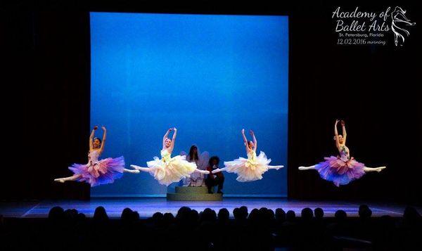 Academy of Ballet Arts Inc