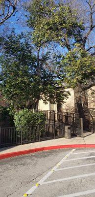 Entrance to the building where Roots Behavioral Health has beautiful office space. It's nice scenery to walk into.