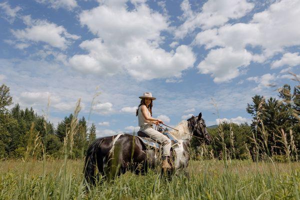 Trail ride through a meadow