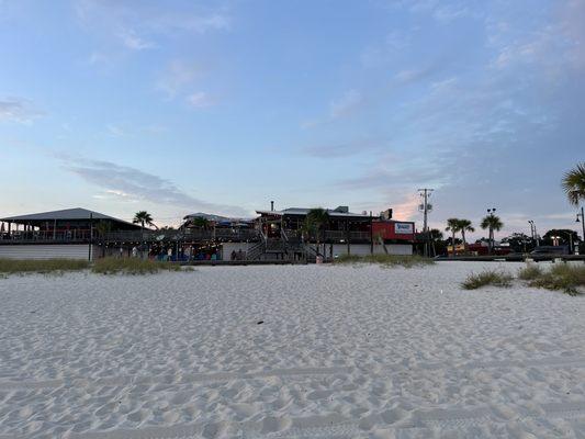 Shaggy's view from the beach