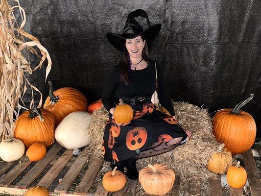 Mr. Jack O' Lanterns Pumpkins