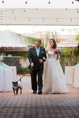 My dag walking me and my pup down the aisle.