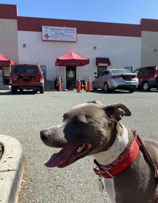 Acorn Hills Animal Center / Amador Veterinary Emergency Clinic