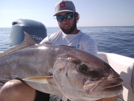 amberjack