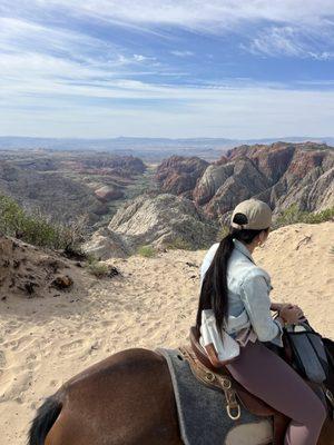 Snow Canyon overlook