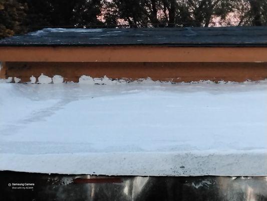 If they are "professionals" 
 how did they manage to paint themselves into a corner on our upper roof and track paint all over it ?