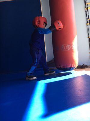 Our little boxer in the making, we start at 3 yrs old!