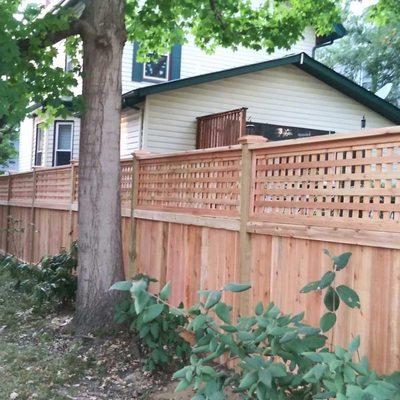 Cedar lattice top privacy fence