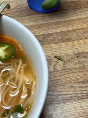 There was a worm (catapillar) in my pho...... this place is unsanitary, additional the service is aweful.