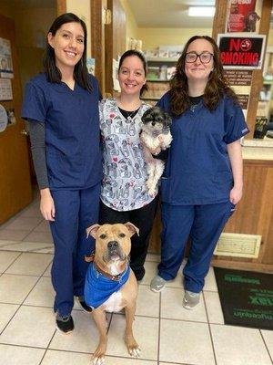 Here is our team! Yoatzin, Kirby, Gina, Krypton and Tori are here to make sure your pet stays happy and healthy!