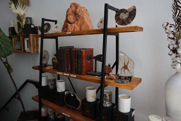 Fossils, Antique Books, and 100% Soy Wax Candles