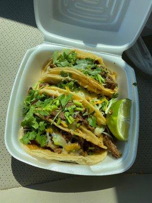 Beef Fajita with grilled onions, cheese and cilantro