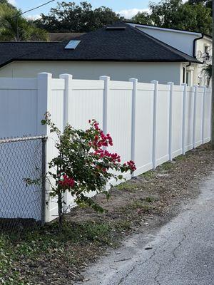 vinyl fence around my office in downtown Safety Harbor