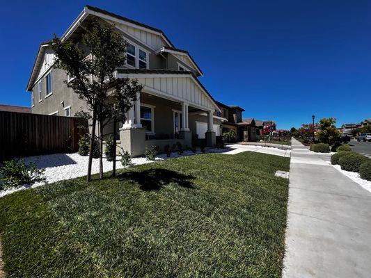 Front yard remodel completed.