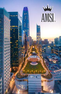 AMSI Real Estate Services