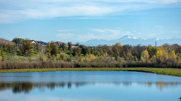 Clover Creek Preserve