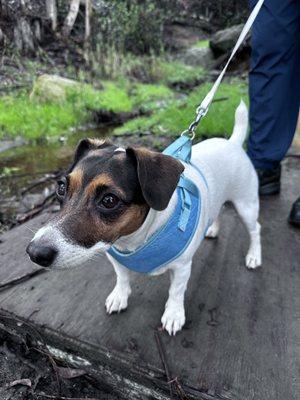 El Cajon Valley Veterinary Hospital