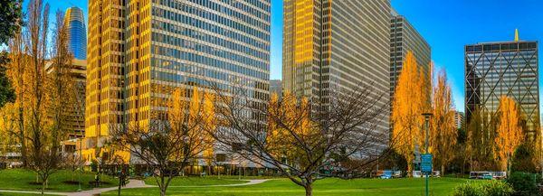 Daybreak at Sue Bierman Park