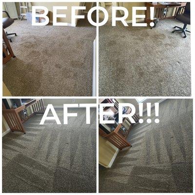 Many small urine spots from a dog. We were able to remove all stains and deodorize the carpet fibers!