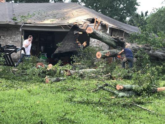 Tornado in Orange Park that didnt even touch the ground.  Called for storm clean up.