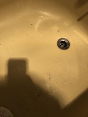 Fecal matter in the bath tub.