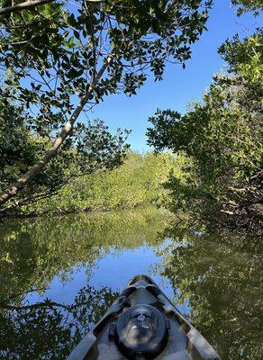 Adventure Kayak of Cocoa Beach