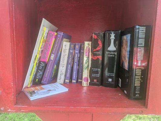 Little Free Library 29573, Salisbury NC