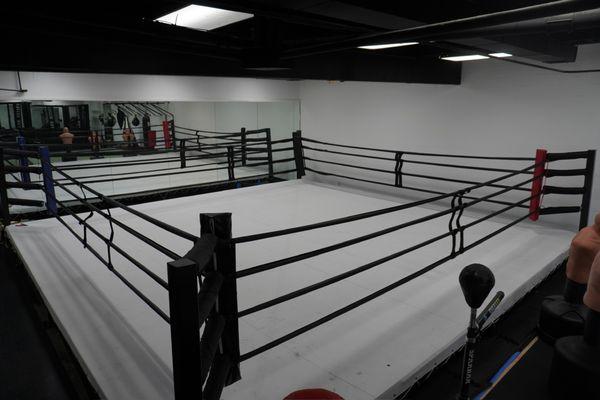 Boxing Ring