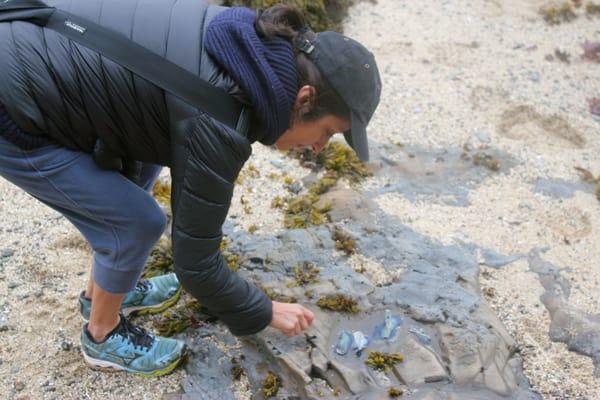 Hiking with an expert in Pacifica