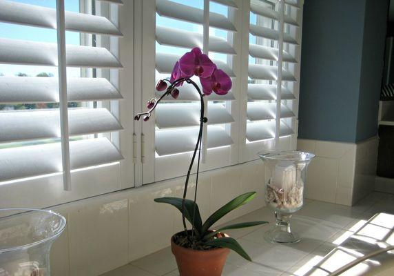 Sunburst's Polywood Shutters are custom built and finished with a special baked-on paint finish with UV coating