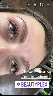 Brow lamination